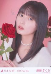 중고 生写真 坂道シリーズ 遠藤さくら バストアップ 「2025.Valentine」WebShop 限定個別生写真