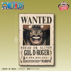 원피스 ゴール・D・ロジャー 手配書ブランケット