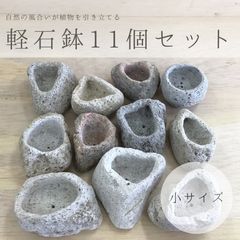 小サイズ アイテラスの軽石鉢 11個セット 観葉植物や多肉植物に最適 s092502