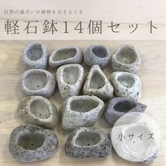 小サイズ アイテラスの軽石鉢 14個セット 観葉植物や多肉植物に最適 s093001