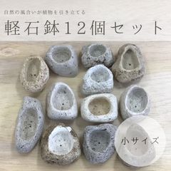 小サイズ アイテラスの軽石鉢 12個セット 観葉植物や多肉植物に最適 s093002
