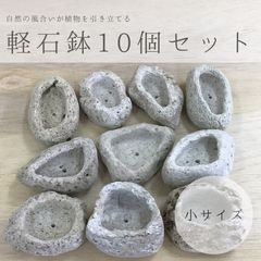 小サイズ アイテラスの軽石鉢 10個セット 観葉植物や多肉植物に最適 s100501
