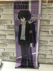 Q3-36 ◇ 중고 장난감 교사 히트맨 REBORN! 스틱 포스터 세트