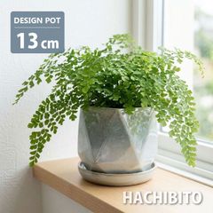 화분 멋쟁이 도자기 냄비 솔 폴리곤 YS4760-130 4호 13cm 접시 접시 첨부 하치 바닥 구멍 있음 하치 커버 관엽 식물 기하학 실내 인테리어 북유럽 골동품 샤비 재배자 냄비 원예 우아한 선인장 다육 식물 선물