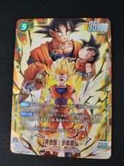 중고 TCG DBFW 孫悟飯:少年期 FB10-122 SCR★ 50-54