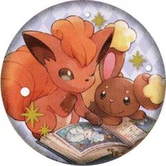 중고 バッジ・ピンズ ロコン＆ミミロル 「ポケットモンスター 刺繍入りくるみバッジコレクション ほんわかぽかぽか」 포켓몬 センター限定