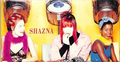 3インチCD1枚 / SHAZNA / LOVE IS ALIVE / DEAR LOVE / E00010560
