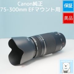 Canon純正 75-300mm EFマウント用 望遠レンズ 상태좋음 シロクマカメラ a6750