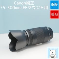 Canon純正 75-300mm EFマウント用 望遠レンズ 상태좋음 シロクマカメラ a7382