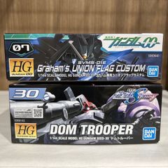 HG ドムトルーパー・HG グラハム専用ユニオンフラッグカスタム