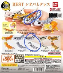 이키모노 큰 도감 레오파드 게코 베스트 컬렉션 가챠 BANDAI 피규어 도마뱀