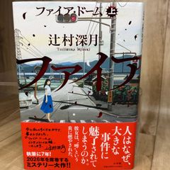 상태좋음 話題作 ファイア・ドーム 上 ミステリー サスペンス 警察小説 犯罪小説 社会派小説 推理小説 日本文学 長編小説 読書好き 小説好き