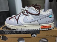 NIKE オフホワイト ダンク ロー 46 270