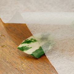 完全接着 接着芯 不織布 薄手 白 ハードタイプ 片面不織布接着芯 不織布片面接着芯 アイロン接着 不織布 ハンドメイド 手作り 雑貨作り 50cm単位