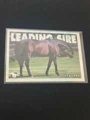 EG173 サラブレッド 競馬 カード 馬 メモリアル リーディングサイアー 箔押し JRA サラブレッドカード カード リアルシャダイ トレカ PV-7 ホログラム バンダイ 競馬コレクション