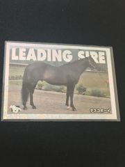 EG173 サラブレッドカード LEADING SIRE 競馬 カード 馬 メモリアル リーディングサイアー 箔押し JRA サラブレッドカード カード テスコボーイ トレカ PV-5 バンダイ 競馬コレクション