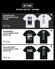 オアジス 25 LIVE ツアー Tシャツ Lサイズ 出品