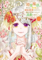 중고 B6コミック ★未完 精霊魔法が使えない無能だと婚約破棄されたので、義妹の奴隷になるより追放を選びました 1～5巻セット 多花葉ねみ