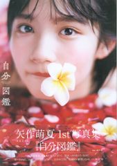 AKB48 사진집 야작 모에 여름 자신 도감