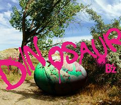 CD DINOSAUR 初回限定盤 DVD付 B'z