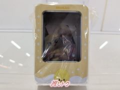 Stray Kids FELIX World Tour ＜dominATE : celebrATE＞ SKZOO PHOTOCARD TINCASE BbokAri フィリックス ポガリ