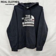 Supreme×THE NORTH FACE シュプリーム×ノースフェイス 18SS Metallic Logo Hooded Sweatshirt メタリック ロゴ パーカー NT118071/L