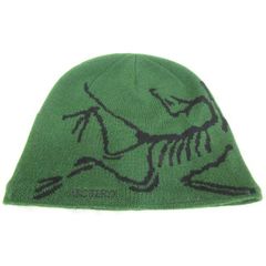 Arc'TERYX BIRD HEAD TOQUE アークテリクス バードヘッドトーク ニットキャップ GREEN 緑 중고 品 ◆120774