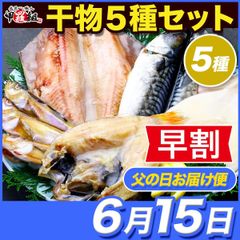 ✨早割価格✨【父の日(6/15) お届け指定便】 高級干物セット5種 (のどぐろ、縞ほっけ、とろさば、真いか、はたはた) 父の日カード付き ホッケ 鯖 サバ イカ ハタハタ ノドグロ 父の日 ギフト プレゼント 贈り物 【甲羅組】