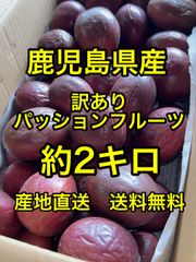 鹿児島県産　土付きらっきょう　約10キロ　p 鹿児島県産 土付きらっきょう 約10キロ p