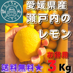 【美品】愛媛県産　レモン　M～Lサイズ　約3Kg　瀬戸内