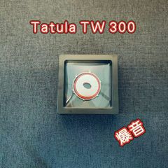 Daiwa tatula TW300   爆音ドラグクリッカー     ダイワ  タトゥーラ TW300 左右共通