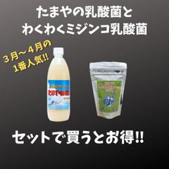 たまやの乳酸菌1本とわくわくミジンコ乳酸菌1袋