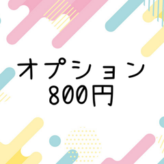 オプション800円
