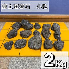 富士溶岩石　2kg アクアリウム　水槽レイアウト　アロマ　コケリウム ADA