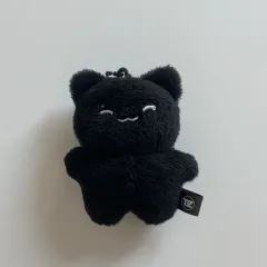 the boyz ジュヨン　ぬいぐるみ　15cm 新品　マスター Amazon.co.jp: THE BOYZ ZENERATION ll ソウルコン ジュヨン