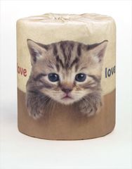 Item thumbnail for item f4ab4ad3-2bfd-45bf-b2c5-9800dc87994a