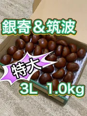 宮崎県産　栗　約10キロ 品種　筑波　b 宮崎県産 栗 約10キロ 品種 筑波 栗 筑波の通販 おすすめ 苗木部