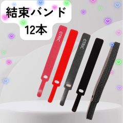 ★新品★ 結束バンド　12本　収納　整理整頓　DIY 梱包