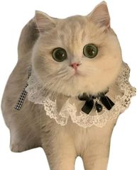 ジューンブライドチョーカー(ホワイト②)わんちゃん猫ちゃん用首輪