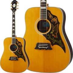 ☆スプルース×マホガニーオール単板極上ハミングバード新品！ブラック