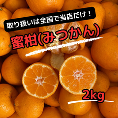 蜜柑/みつかん/無選別/2kg送料込