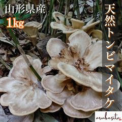 天然きのこ ハナビラタケ 1kg‼️ クール便送料込 長野県産 - メルカリ