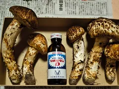 2025年最新】岩泉 松茸の人気アイテム - メルカリ