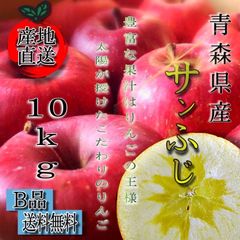 青森県産 サンふじ りんご【B品10kg】【送料無料】【農家直送】リンゴ ふじ