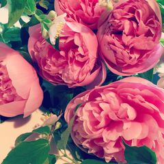 創作スワッグ ワイルドフラワー＆バンクシア パラレル - メルカリ