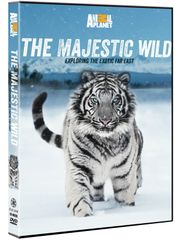ザ マックショウ伝説 昭和八十三年四月十三日 日比谷野外音楽堂 DVD