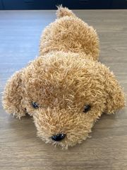 ぬいぐるみ　犬　トイプードル　安立屋