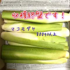 2025年最新】マコモタケの人気アイテム - メルカリ