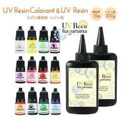 レジン 14点セット レジン着色剤12色 5ml レジン液 大容量100ｇ2本 レジンセット レジンキット 低刺激性 無臭 黄変なし