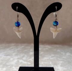 [新品・人気]サメの歯(小)ピアス‼️沖縄ホタルガラス付き♫